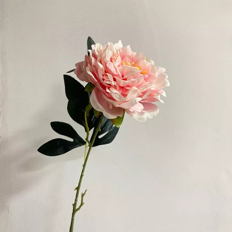 긴 단일 줄기 가짜 모란