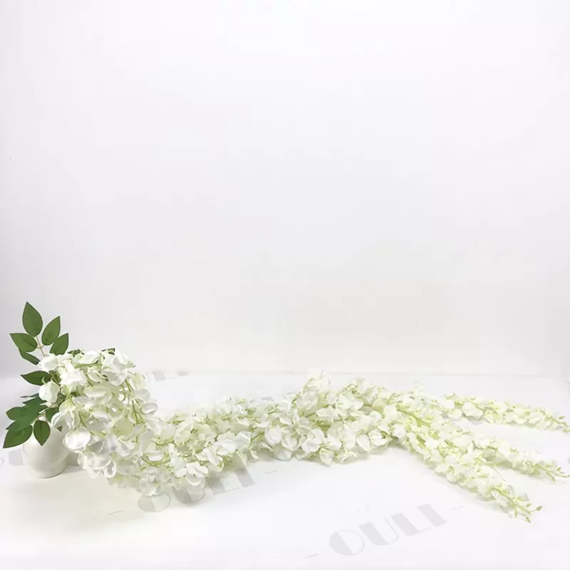 흰색 가짜 등나무 꽃